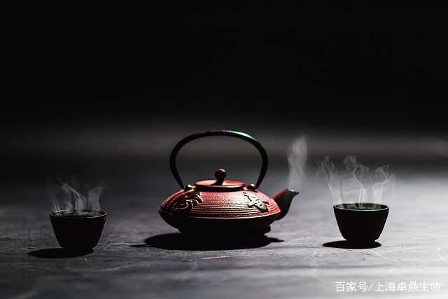 你知道茶提取物的功效和作用嗎？
