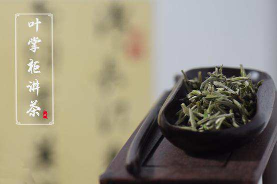 葉掌柜講茶：白茶壽眉是什麼茶？喝壽眉茶有什麼好處？